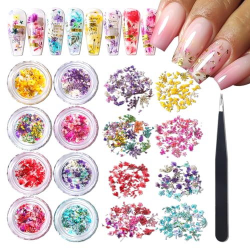 8 Boxes Multi-Color Dried Gypsophila Flowers for Nail Art and DIY Crafts