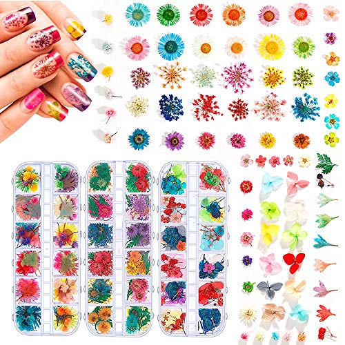 324-Piece Multicolor Dried Flowers Nail Art Set