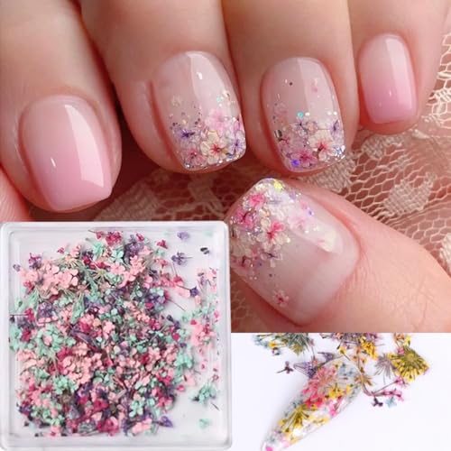 3D Colorful Dried Flowers for Nail Art and Crafts