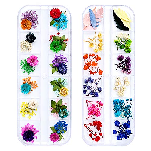 iFancer 90-Piece Dried Flowers Set for Nail Art